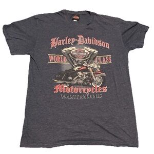 Harley Davidson Mens Double Sided Tshirt Sz Large Black Janesville, WI Biker
